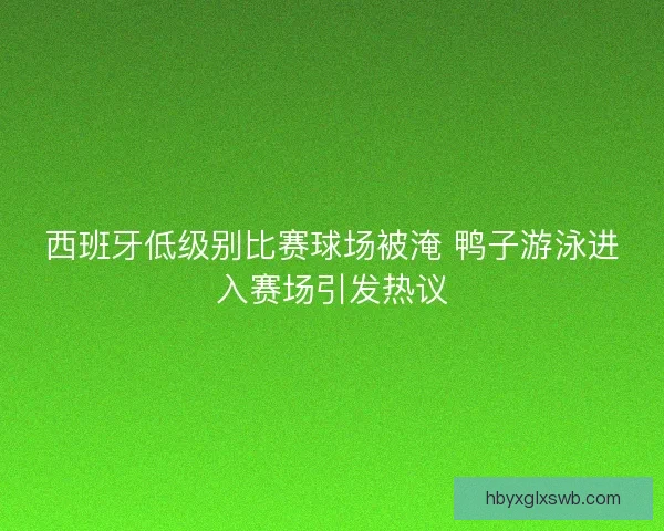 西班牙低级别比赛球场被淹 鸭子游泳进入赛场引发热议 西班牙低级别比赛球场被淹 鸭子游泳进入赛场引发热议