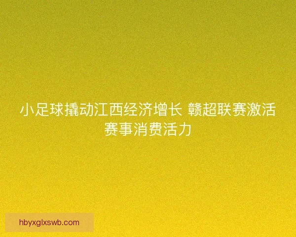 小足球撬动江西经济增长 赣超联赛激活赛事消费活力 小足球撬动江西经济增长 赣超联赛激活赛事消费活力